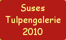 
Suses Tulpengalerie 2010