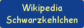
Wikipedia 
Schwarzkehlchen