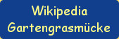 
Wikipedia 
Gartengrasmücke